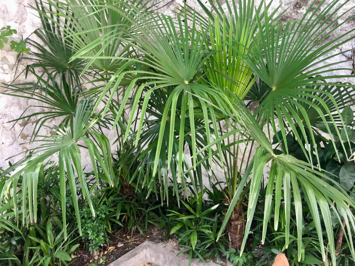 Palmera Mostar Eksteriør bilde