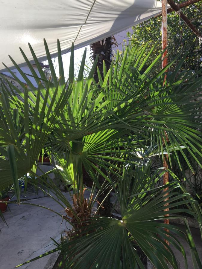 Palmera Mostar Eksteriør bilde